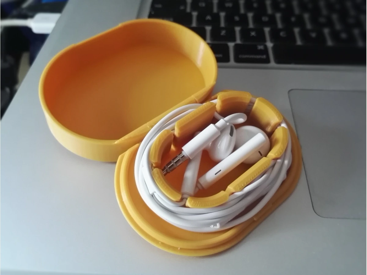 Hinged Earphones Case