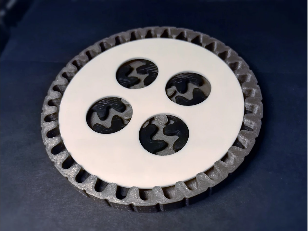 Planetary Gear Coaster